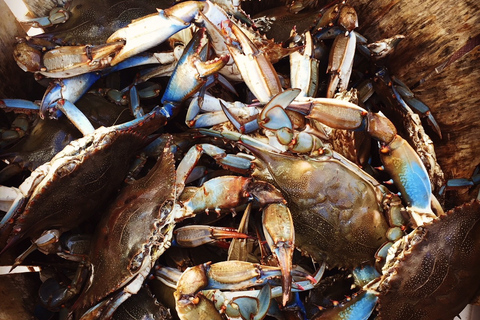 Charleston: tour culturale di Shem Creek