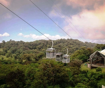 San Jose: Monteverde Sky Tram & Hanging Bridges Day Tour
