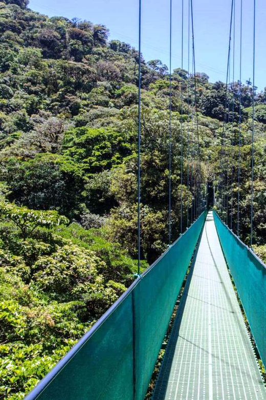 San Jose: Monteverde Sky Tram & Hanging Bridges Day Tour | GetYourGuide