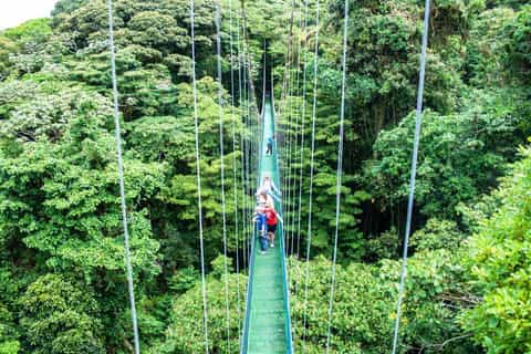 San Jose: Monteverde Sky Tram & Hanging Bridges Day Tour
