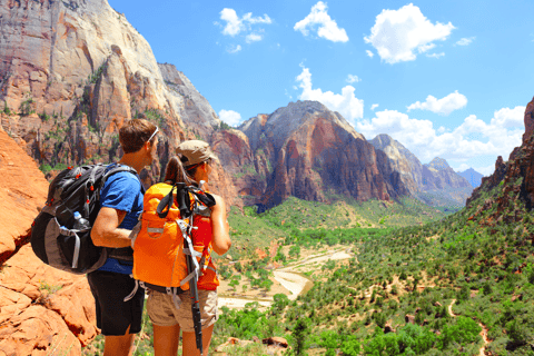 de vegas visite en bus de luxe du parc national de zion avec déjeuner