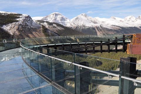 Jasper: Columbia Icefield Skywalk and Ice Explorer Ticket