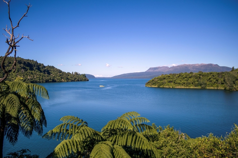 Recorrido ecológico de patos de 2 horas por Tarawera y los lagos
