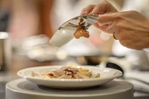 Alba: transfer e biglietto alla fiera del tartufo da Torino