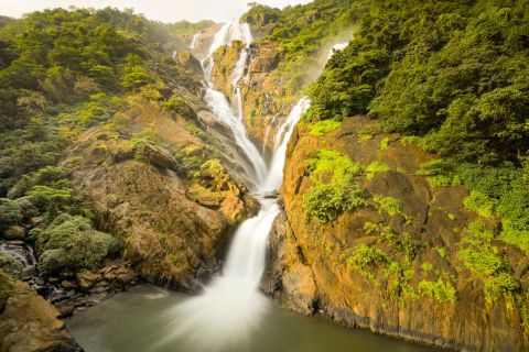 From Goa: Dudhsagar Waterfalls & Plantation Tour