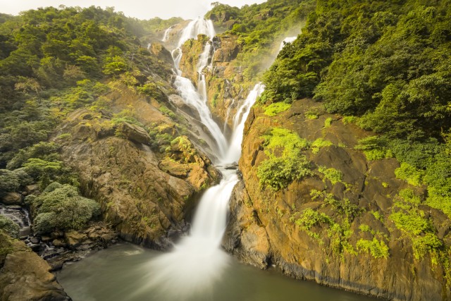 Visit From Goa Dudhsagar Waterfalls & Plantation Tour in Panjim, Goa, India