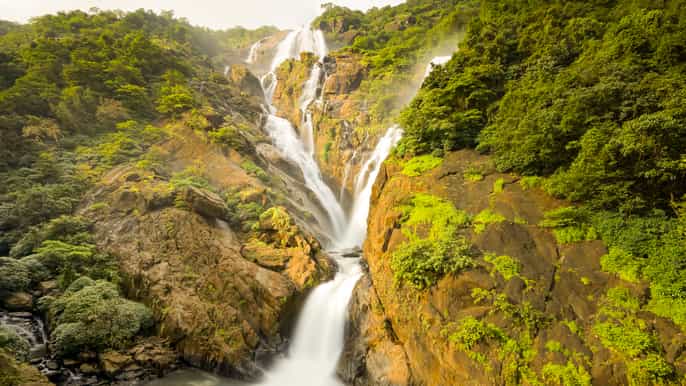 from goa dudhsagar waterfalls plantation tour