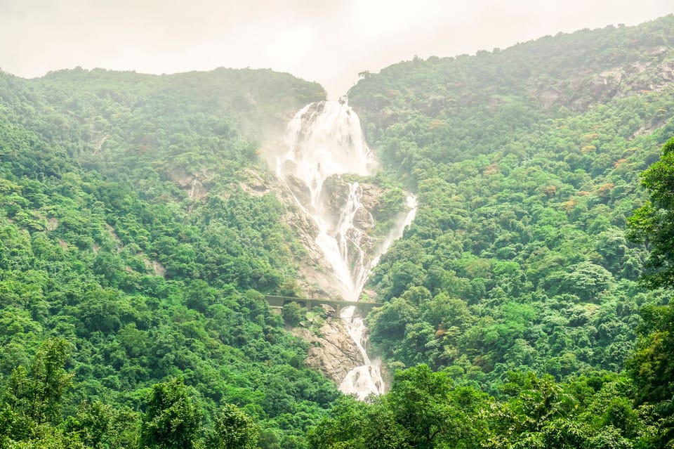 Viral video: Goa's Dudhsagar falls captured in all their glory by stunning  drone shot | Viral News, Times Now