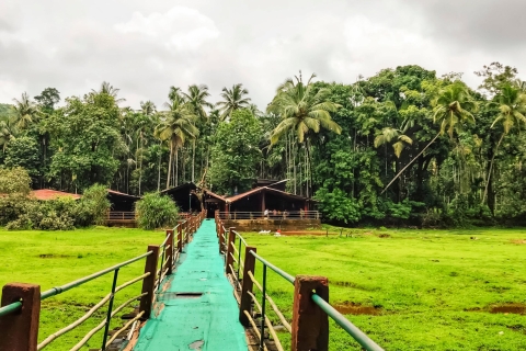 Au départ de Goa : Visite des chutes d'eau et des plantations de Dudhsagar