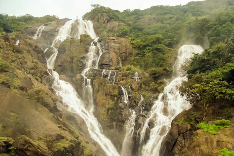 From Goa: Dudhsagar Waterfalls & Plantation Tour | GetYourGuide