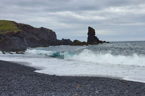 Reykjavik: Tagestour zum Snæfellsjökull-Nationalpark