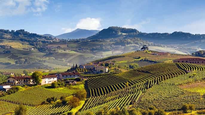 tour del barolo in bus navetta