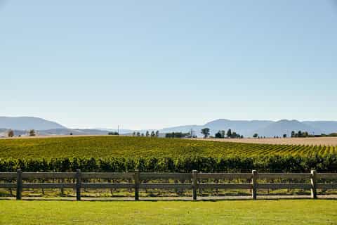 Melbourne: Yarra Valley Food and Wine Experience with Lunch