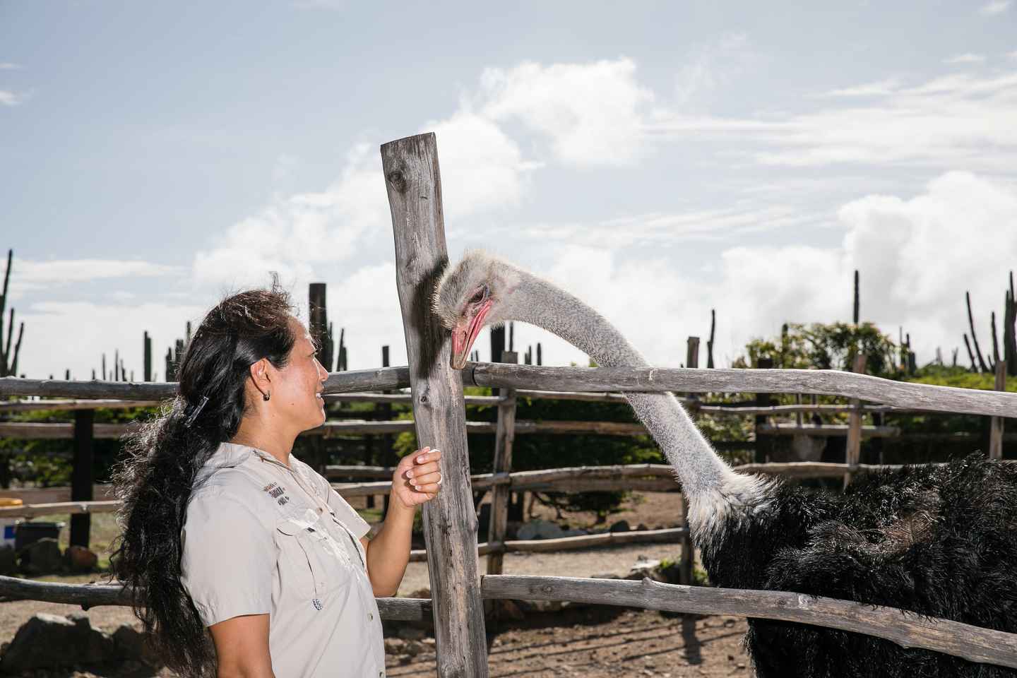 best places to visit in aruba | paradera