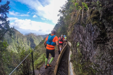 Von Funchal: Leichte bis mittelschwere Green Levada Lauftour