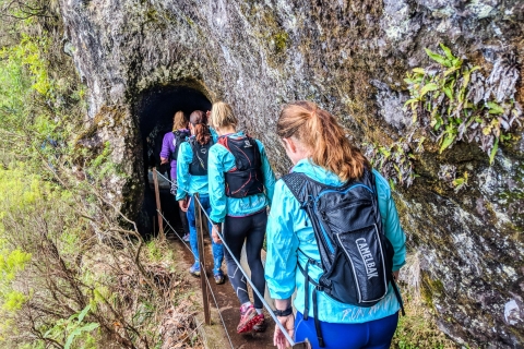 Von Funchal: Leichte bis mittelschwere Green Levada Lauftour