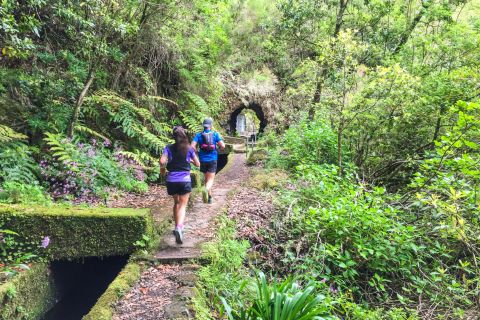 Z Funchal: trasa biegowa Folhadal Trail (umiarkowana)