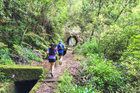 da funchal folhadal trail running tour (moderato)