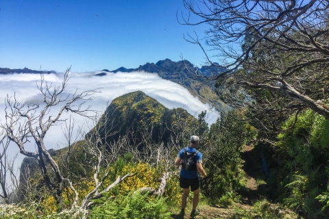 From Funchal: Folhadal Trail Running Tour (Moderate)