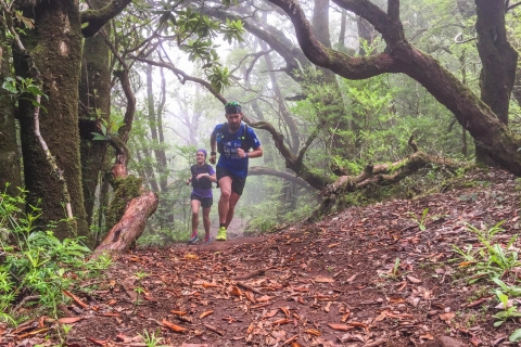 From Funchal: Folhadal Trail Running Tour (Moderate)