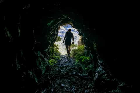 From Funchal: Folhadal Trail Running Tour (Moderate)