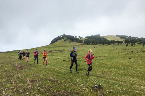 Funchal: Lauftour durch den Urwald von Fanal