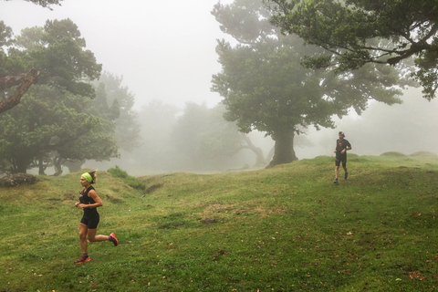 Funchal: Lauftour durch den Urwald von Fanal