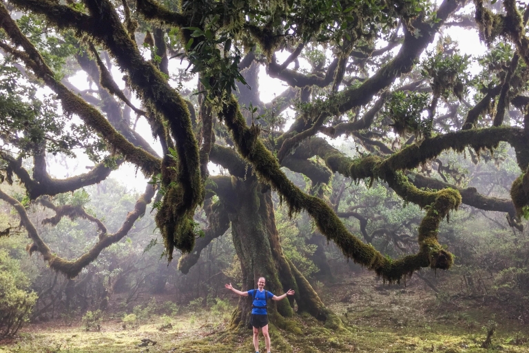 Funchal: Lauftour durch den Urwald von Fanal