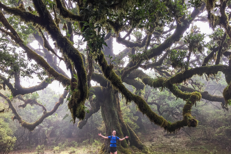 Funchal: Lauftour durch den Urwald von Fanal