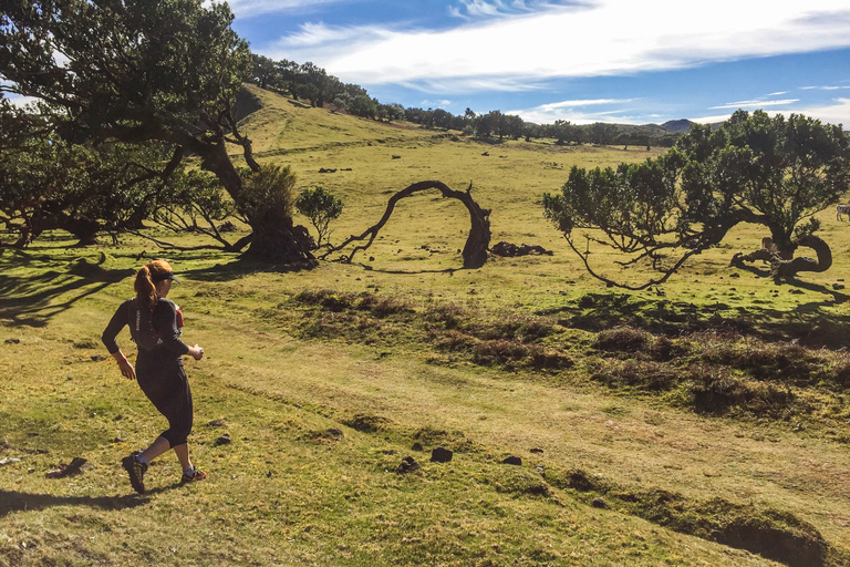 Funchal: Lauftour durch den Urwald von Fanal