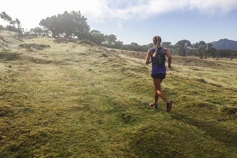 Funchal: Lauftour durch den Urwald von Fanal