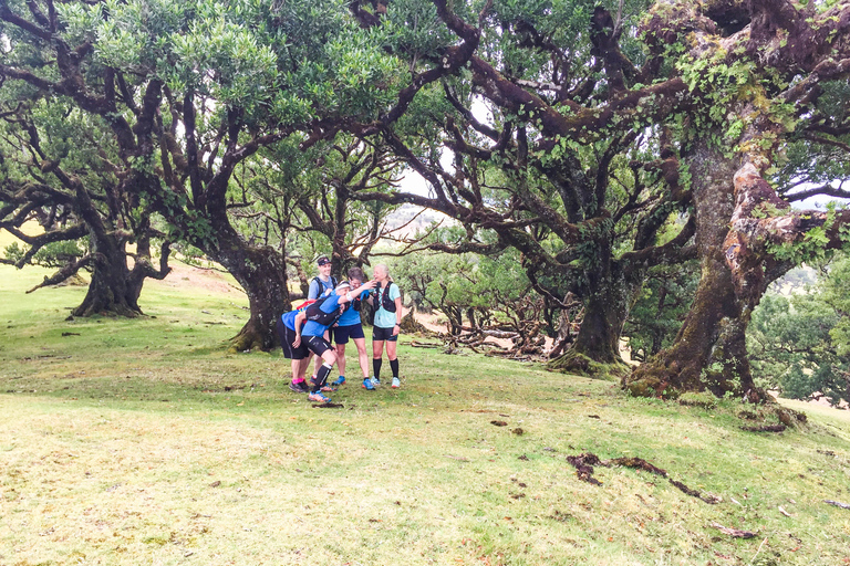 Funchal: Lauftour durch den Urwald von Fanal