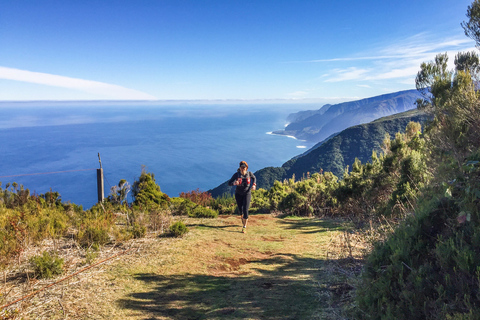 Funchal: Lauftour durch den Urwald von Fanal