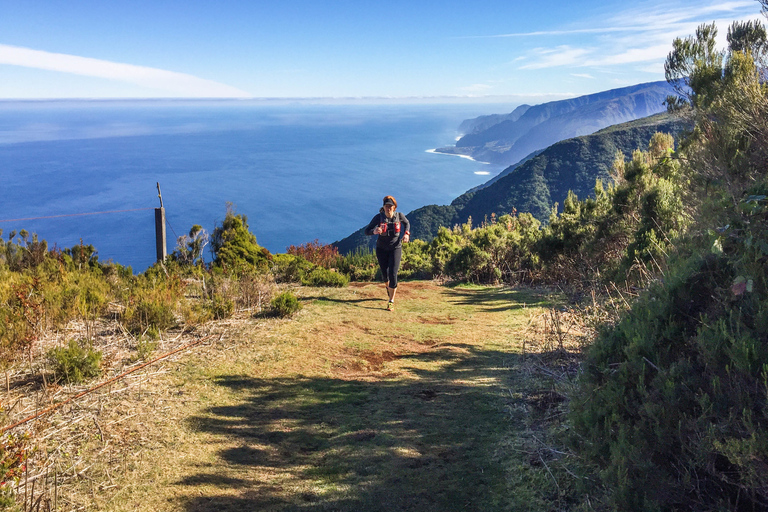 Funchal: Wycieczka biegowa po starożytnym lesie Fanal