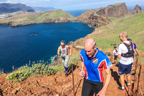 From Funchal: Eastern Peninsula Running Tour (Easy-Moderate)