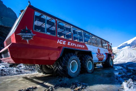 Jasper : billet Columbia Icefield Skywalk et Ice Explorer