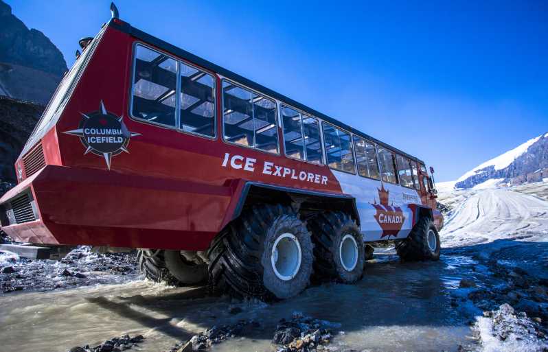 Jasper: Columbia Icefield Skywalk og Ice Explorer-billett