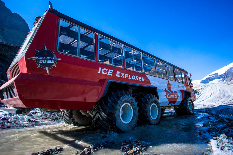 Jasper: Columbia Icefield Skywalk and Ice Explorer Ticket