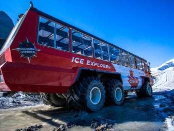 Columbia-Eisfeld: Gletscher-Abenteuer Ice Explorer & Skywalk