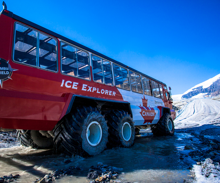Jasper: Columbia Icefield Skywalk and Ice Explorer Ticket