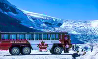 Jasper, Columbia Icefield Skywalk and Ice Explorer Ticket - Housity