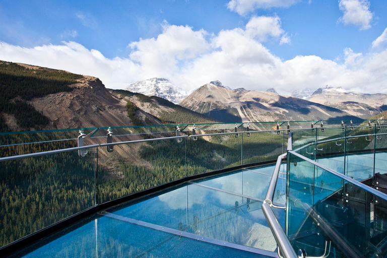 Jasper: Columbia Icefield Skywalk and Ice Explorer Ticket