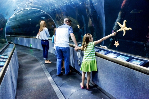 Visite VIP des coulisses de l'Aquarium de la BaieVisite des coulisses de l'Aquarium de la baie et billet d'entrée