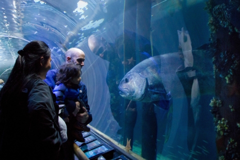Visite VIP des coulisses de l'Aquarium de la BaieVisite des coulisses de l'Aquarium de la baie et billet d'entrée