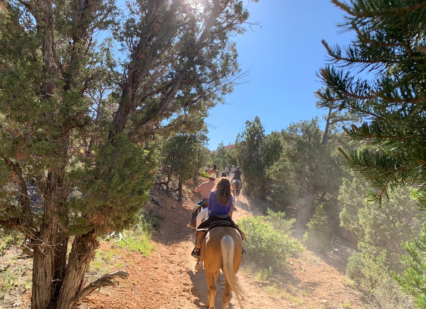 Bryce Canyon City: Ridetur på hesteryg i Red Canyon