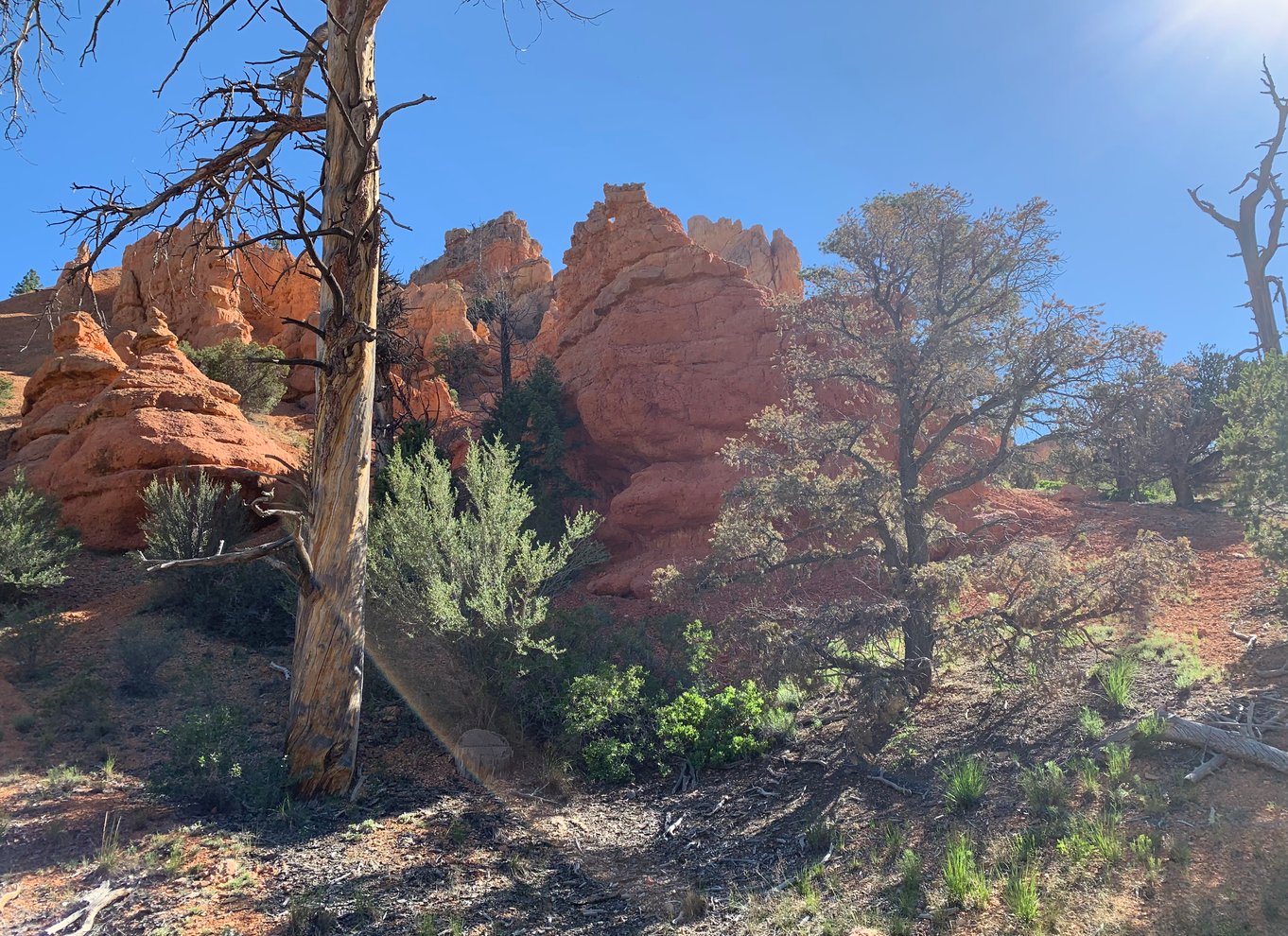 Bryce Canyon City: Ridetur på hesteryg i Red Canyon