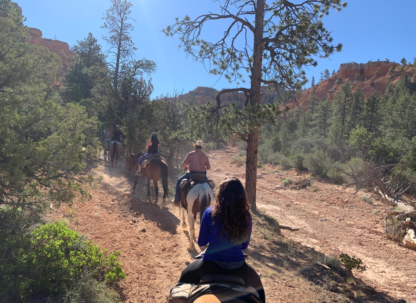 Bryce Canyon City: Ridetur på hesteryg i Red Canyon