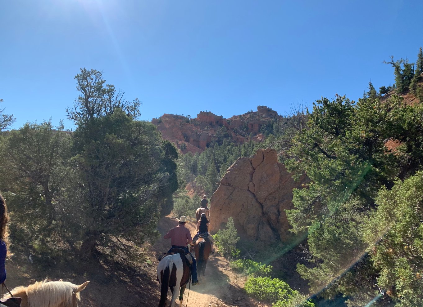 Bryce Canyon City: Ridetur på hesteryg i Red Canyon