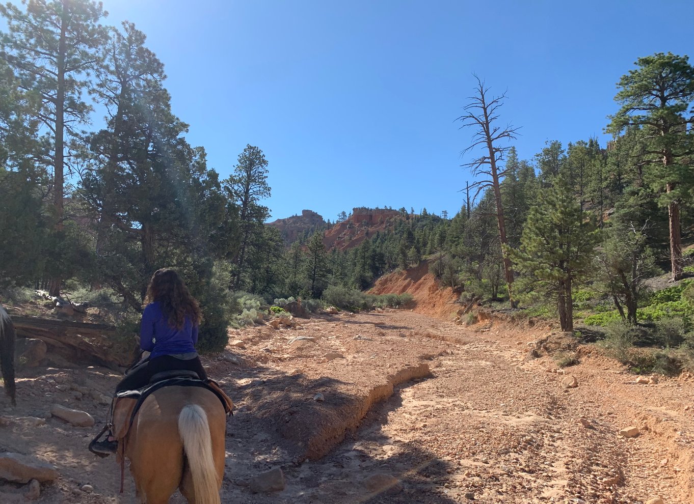 Bryce Canyon City: Ridetur på hesteryg i Red Canyon