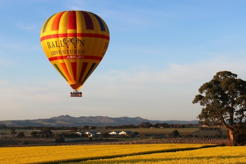 Barossa Valley: Hot Air Balloon Flight